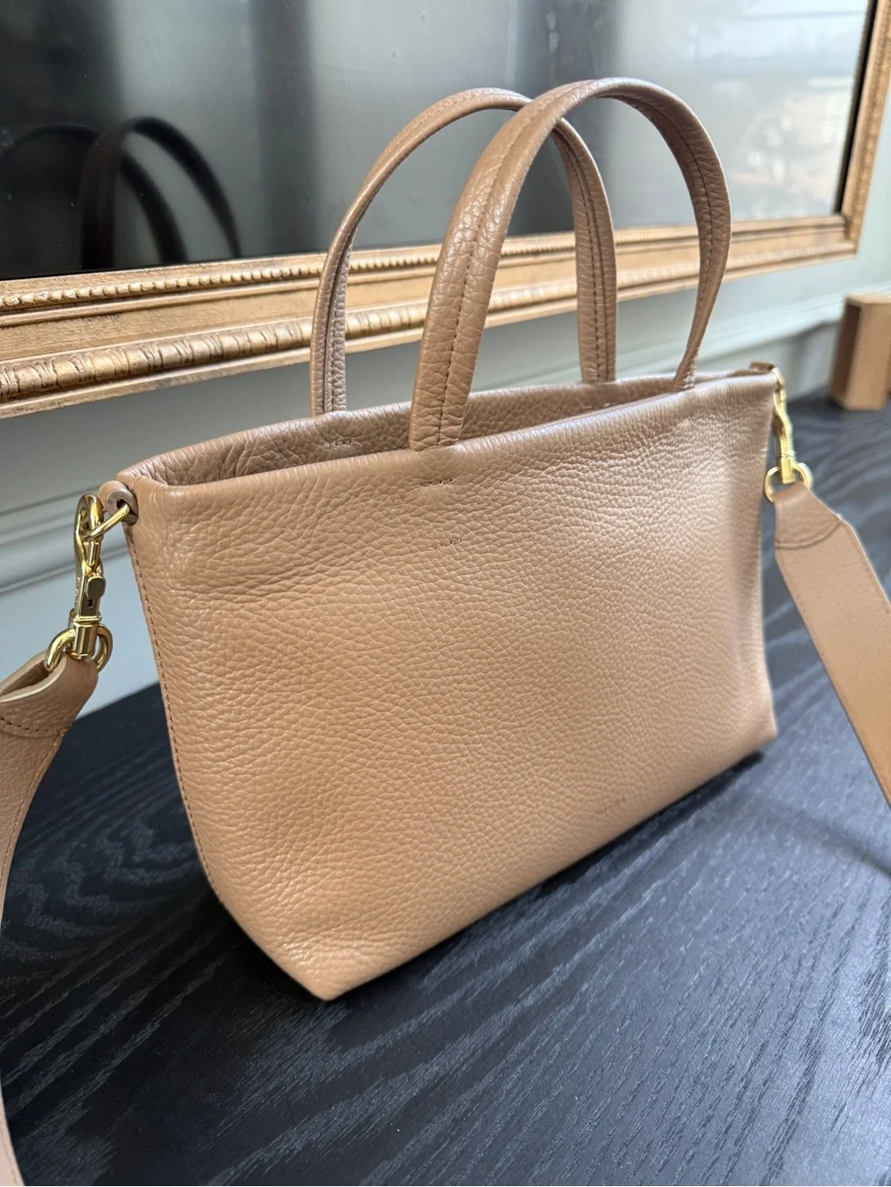 Cuyana Cappucino Mini Easy Zipper Tote